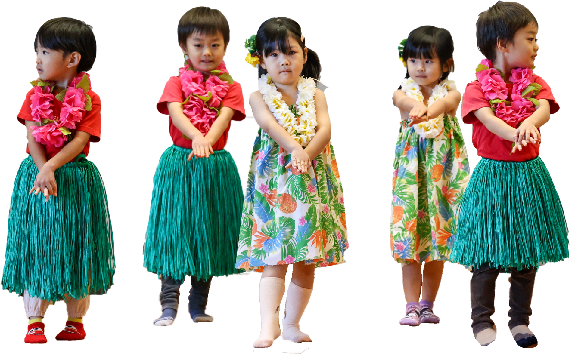 フラダンスの衣装を着て並ぶ園児たち