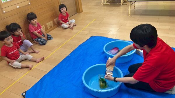 見て、さわって、楽しもう！