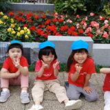 どんぐりと続・河津桜🌸