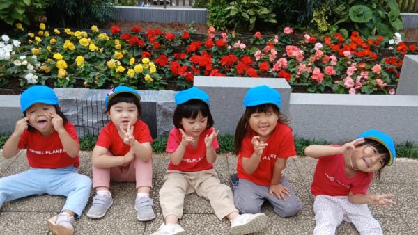 どんぐりと続・河津桜🌸