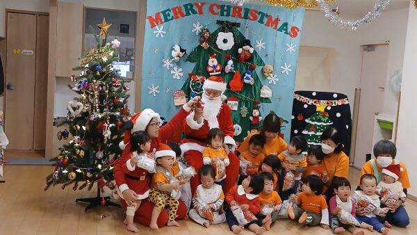 Mary Christmas & Happy New year