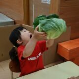 食育～そらまめときゃべつ～