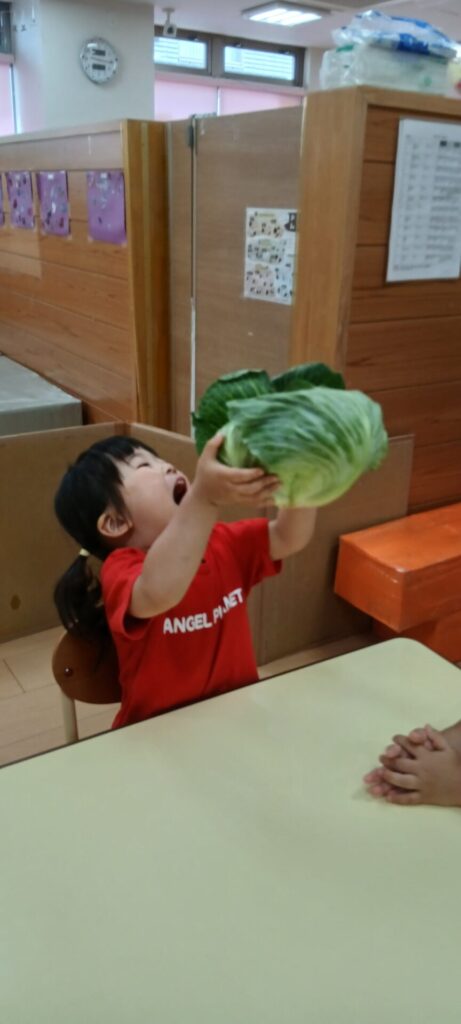 食育~そらまめときゃべつ~