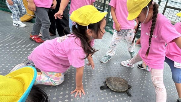かめこちゃんのお散歩
