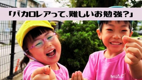 「バカロレアって難しいお勉強？」